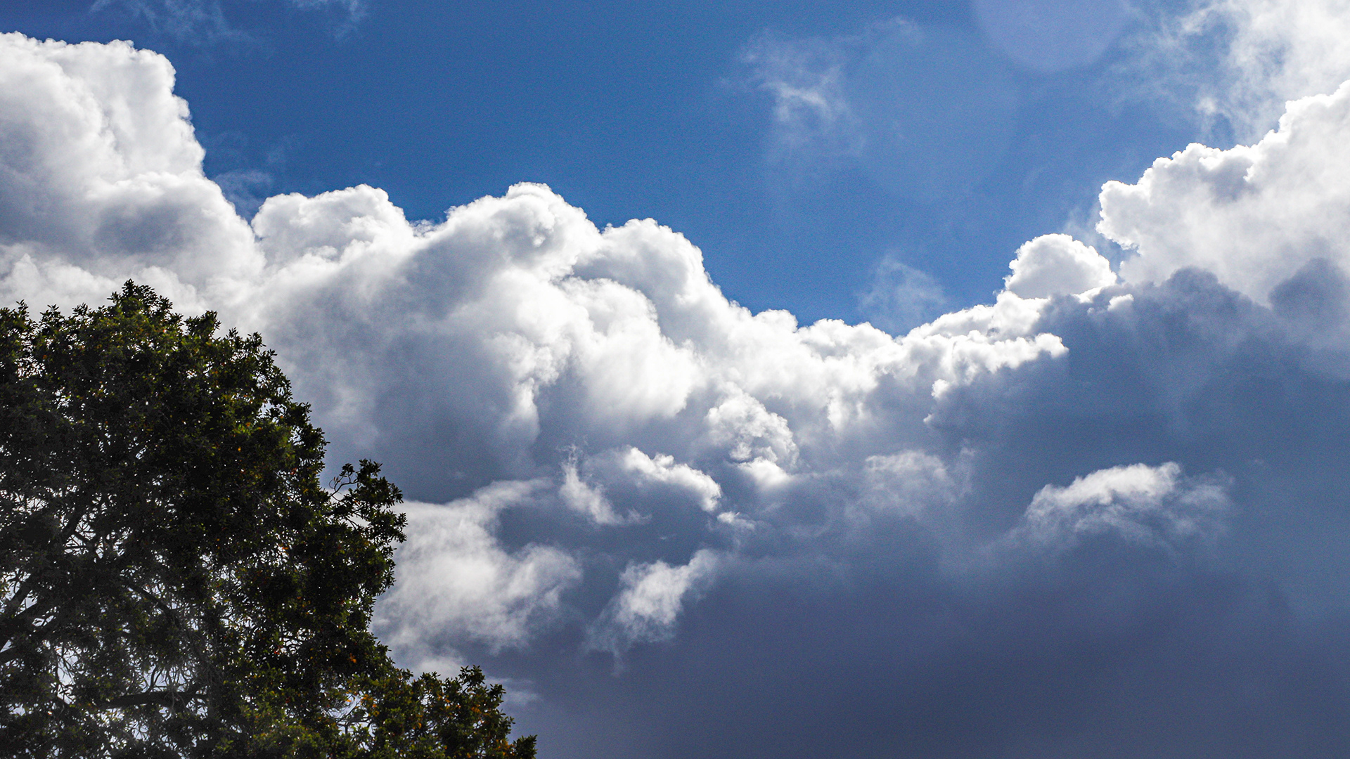 cloud 1 Image